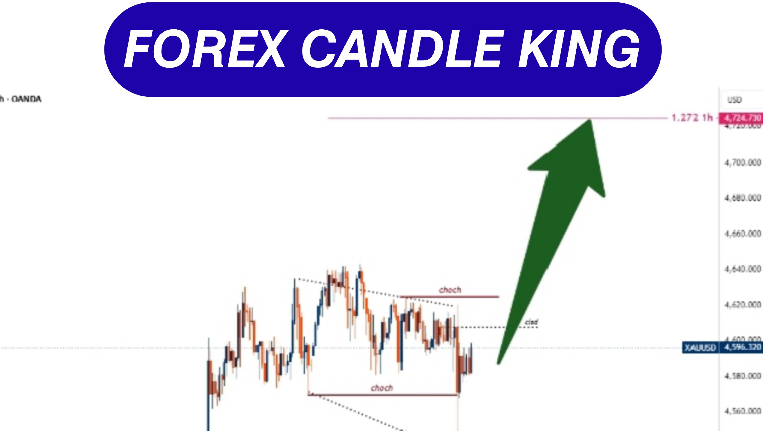 Forex Master Gold King