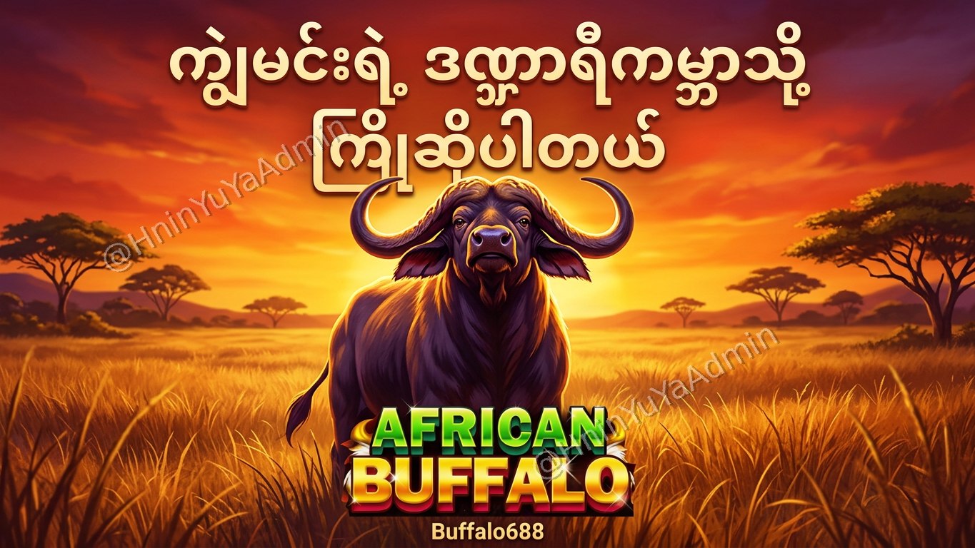 ကျွဲဂိမ်းအစစ် Buffalo688 ၊ကျွဲဘုရင် ၊ရှမ်းကိုးမီး၊ဘူကြီး