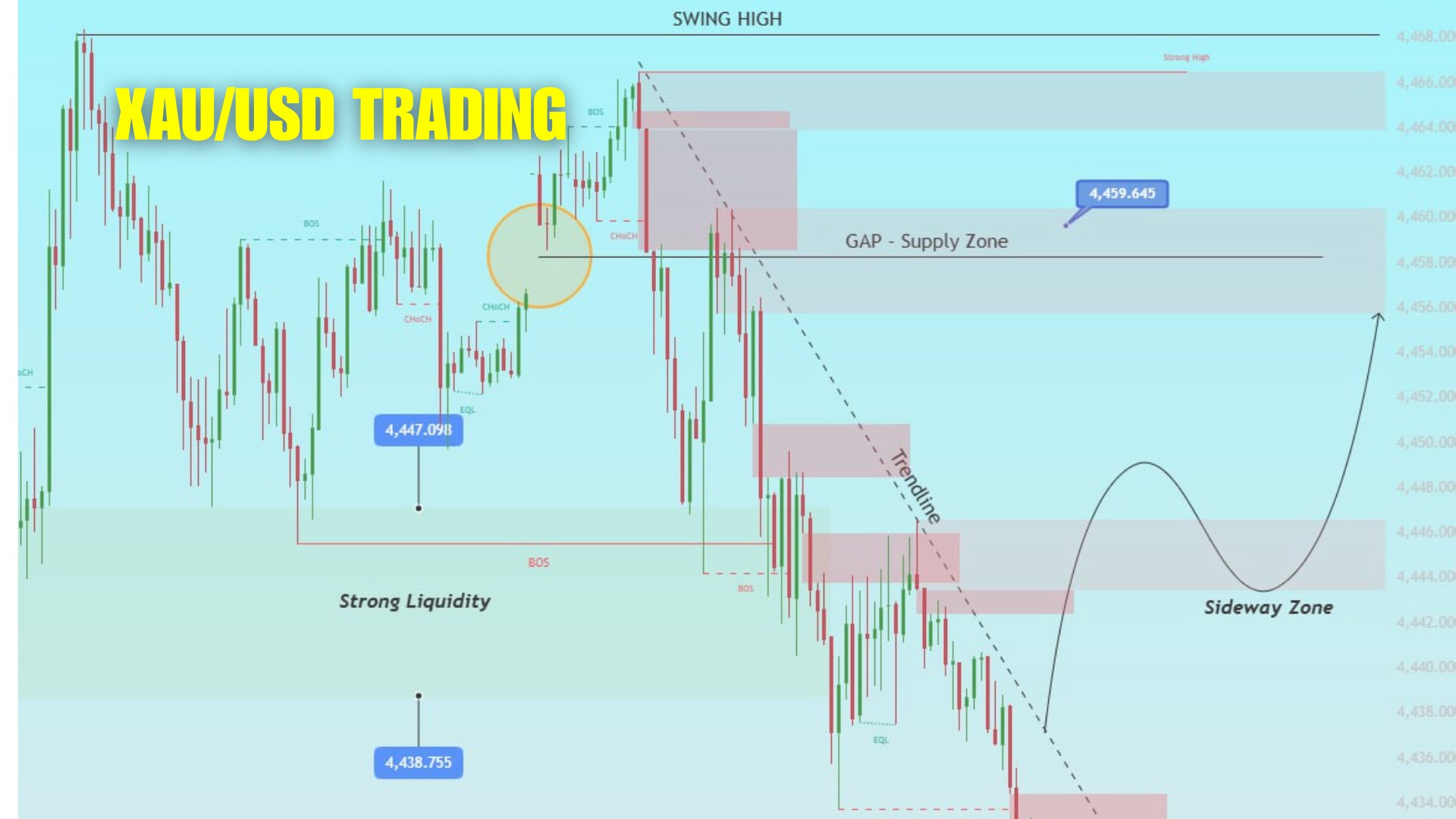 Scalper Gold Nexus 💰