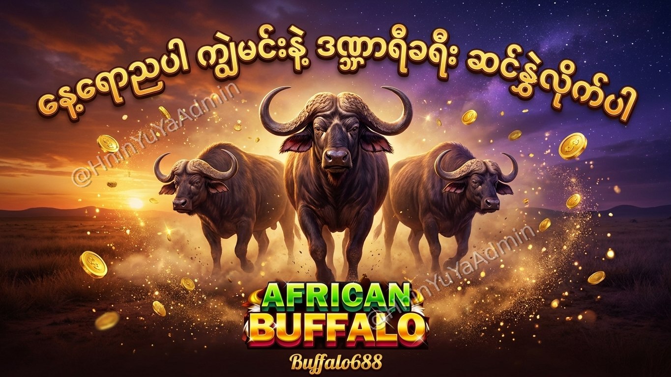 ကျွဲဂိမ်းအစစ် Buffalo688 ၊ကျွဲဘုရင် ၊​ရှမ်းကိုးမီး၊ဘူကြီး