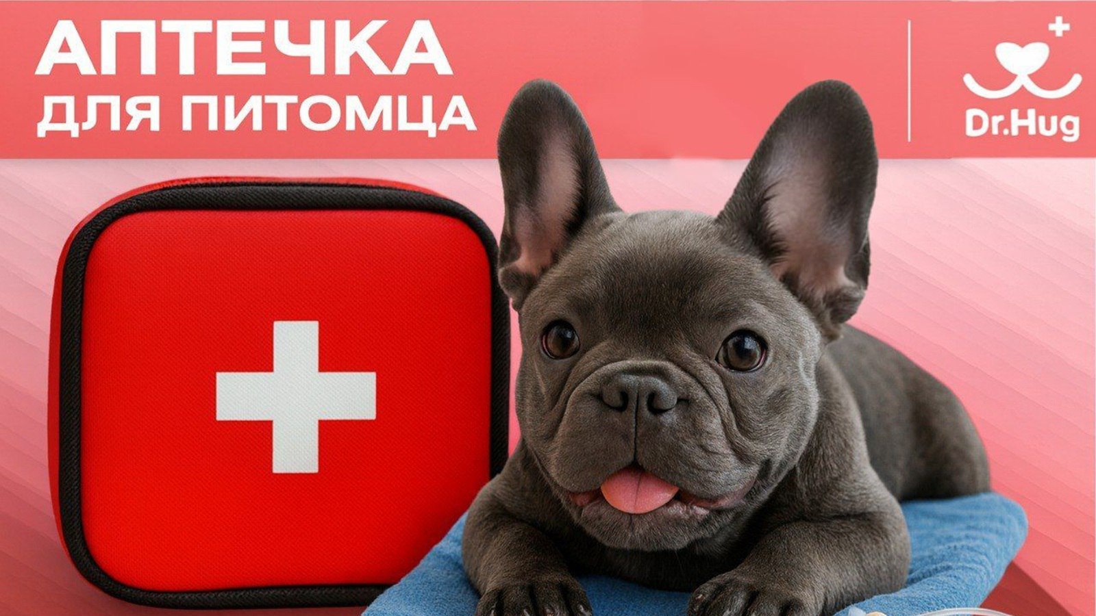 Ветеринарные центры Dr.Hug