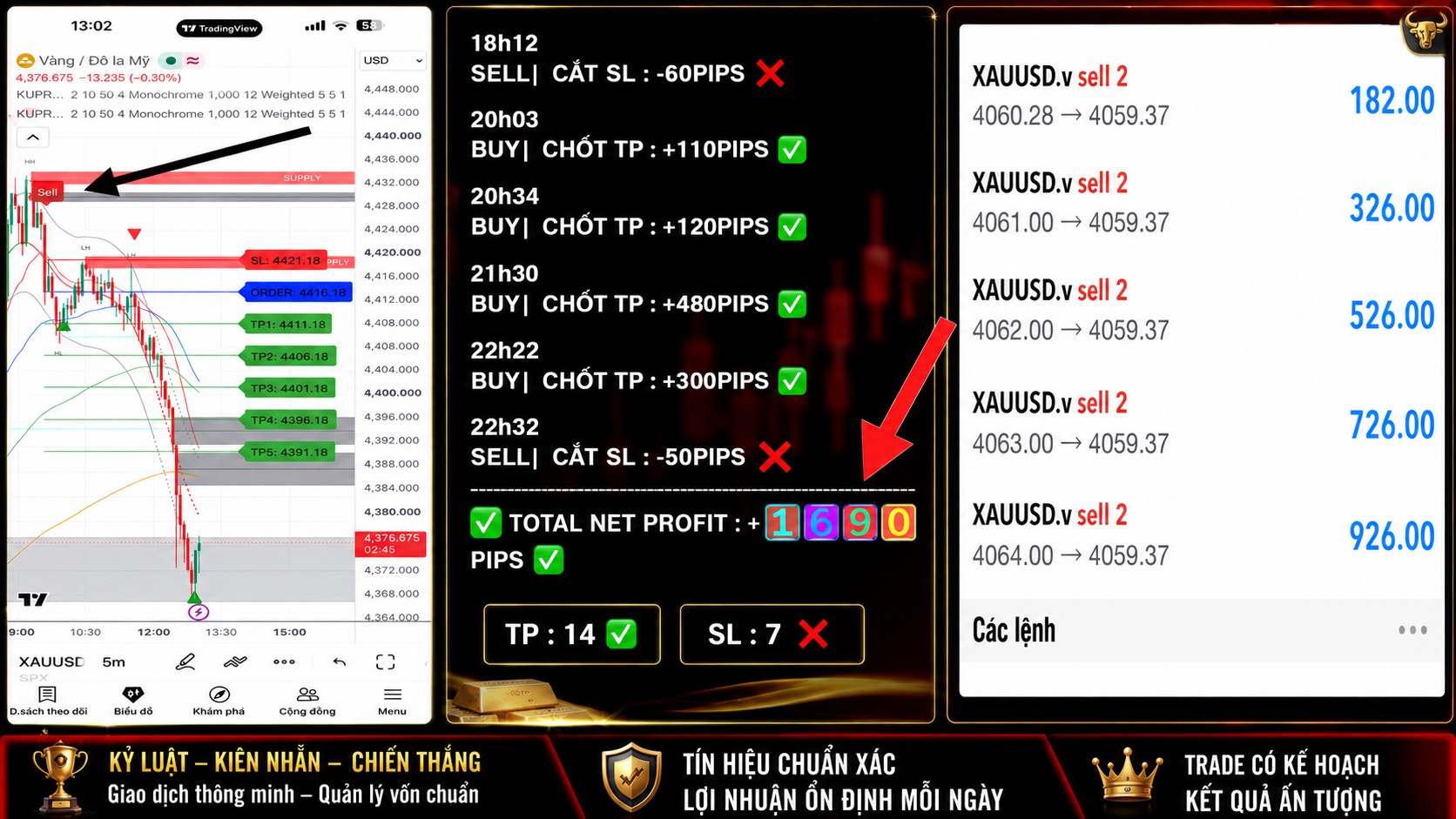 DaiLy | Gold Master VN