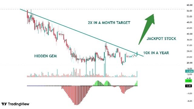 FX Signals Hub