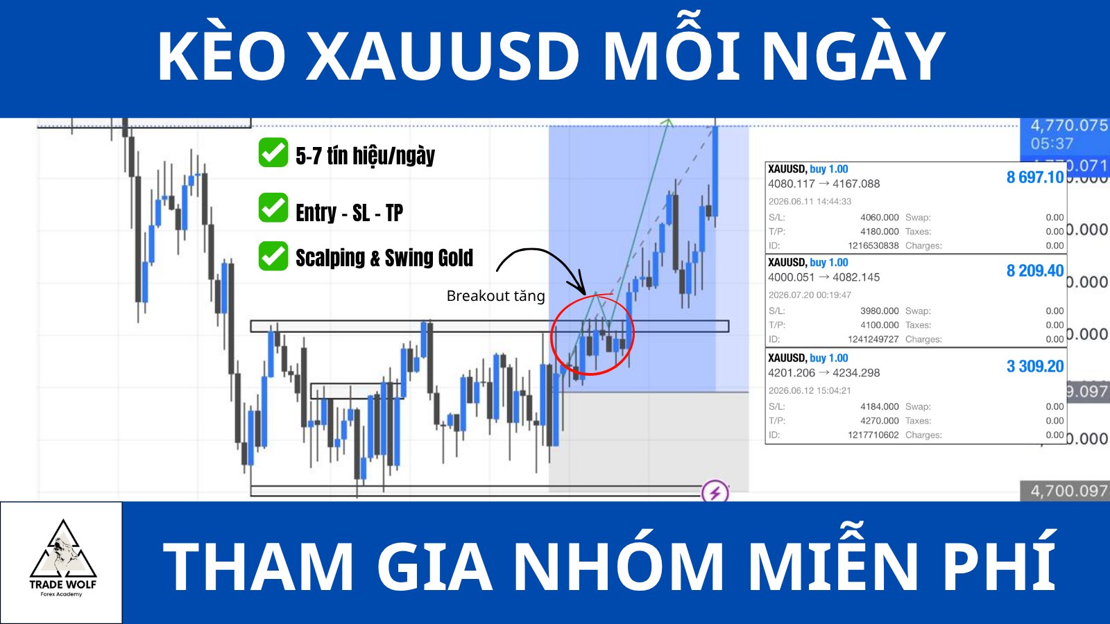 WOLF FOREX