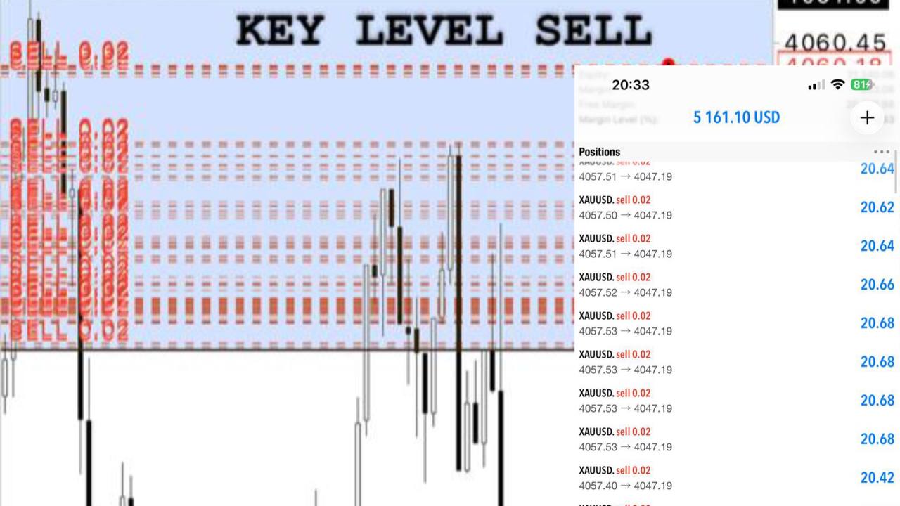 Yakuza Trade Direction