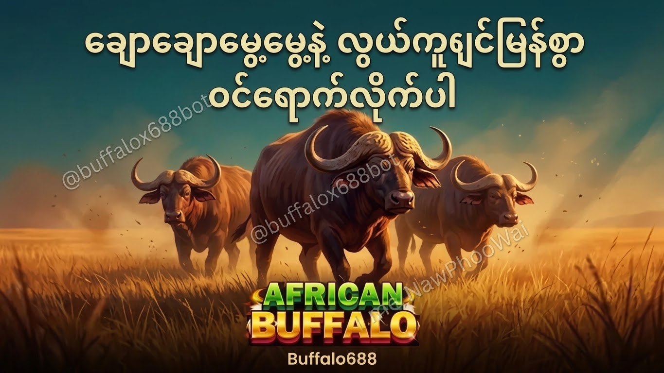 Buffalo ကျွဲဂိမ်းအစစ်