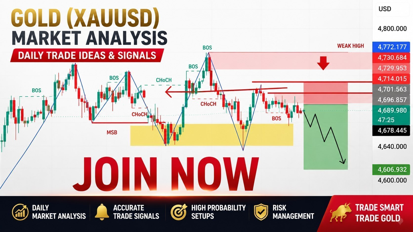 Gold Market Academy