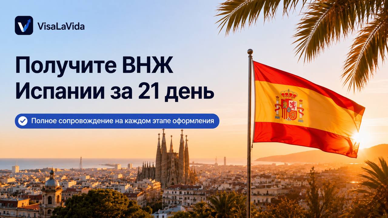 VisaLaVida Сервис ВНЖ