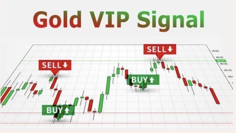PRINCE FOREX ACADEMY HUB