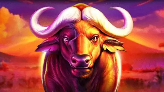 ကျွဲဂိမ်း Buffalo123 Official