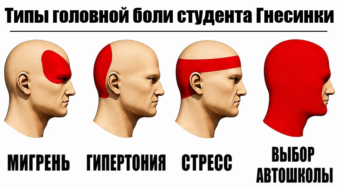 Автошкола для студентов Гнесинки