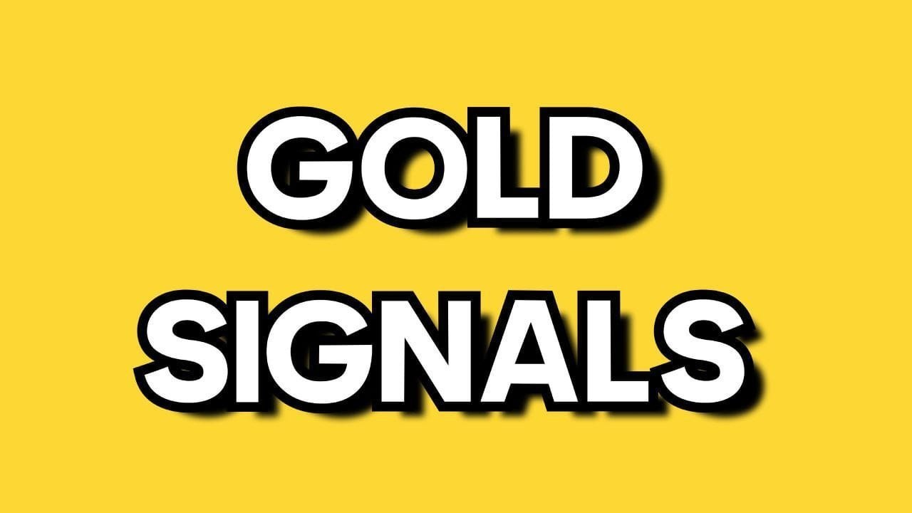 GOLD PRO MASTER