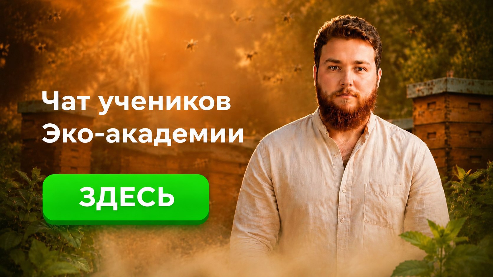 Сказки Ивана 3.0.
