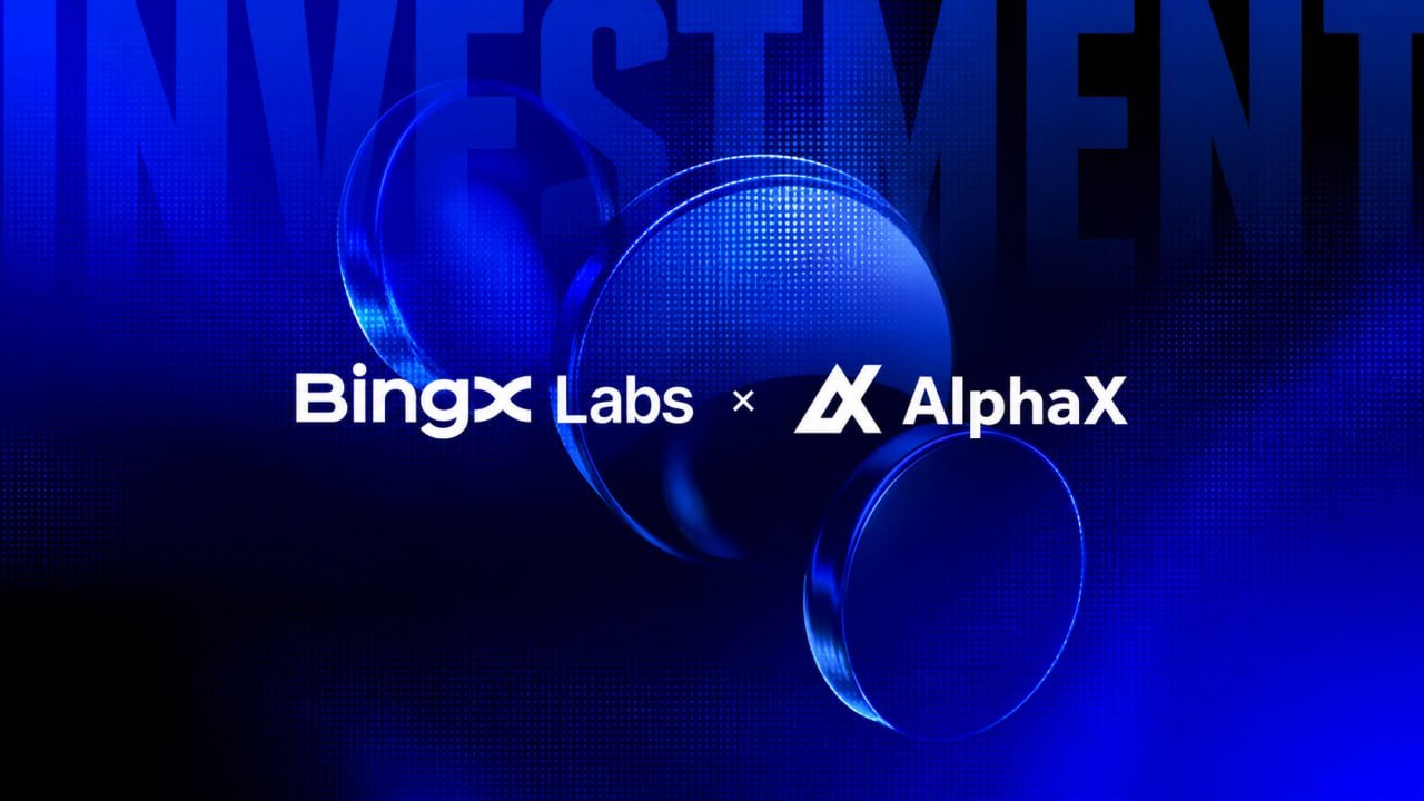 AlphaX Thông Báo Tiếng Việt