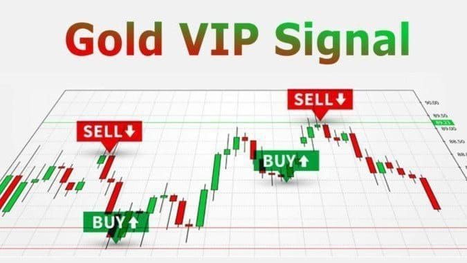 TAKE PROFIT GLOBAL