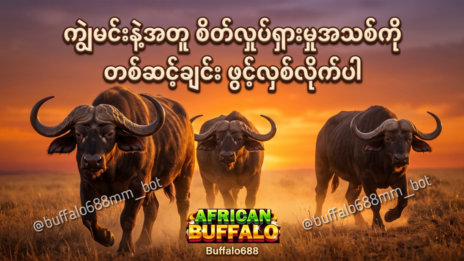 Buffalo688 Myanmar Official
